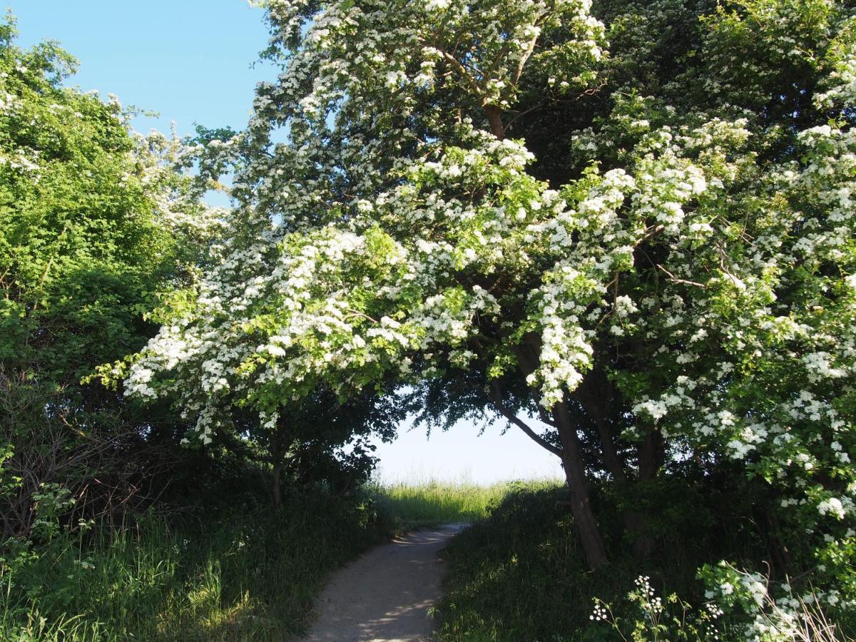 Emilias Hues, Reethaus In Der Bucht Von Wismar 齐罗 外观 照片