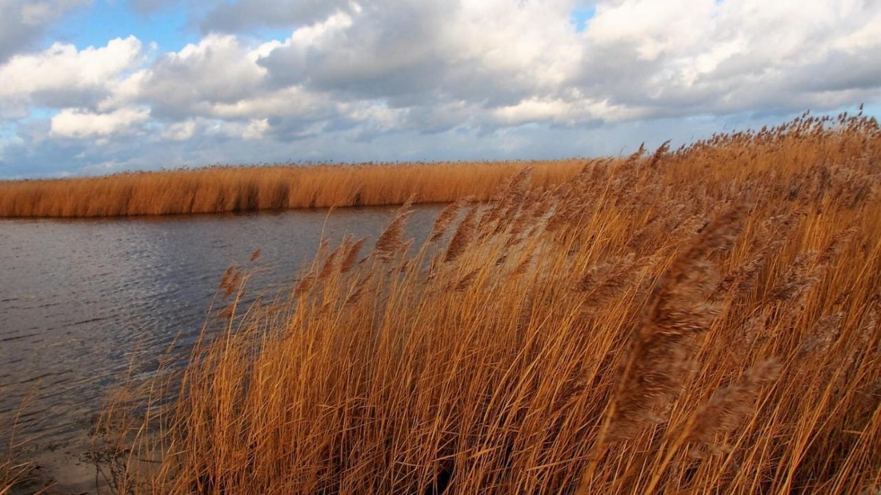 Emilias Hues, Reethaus In Der Bucht Von Wismar 齐罗 外观 照片