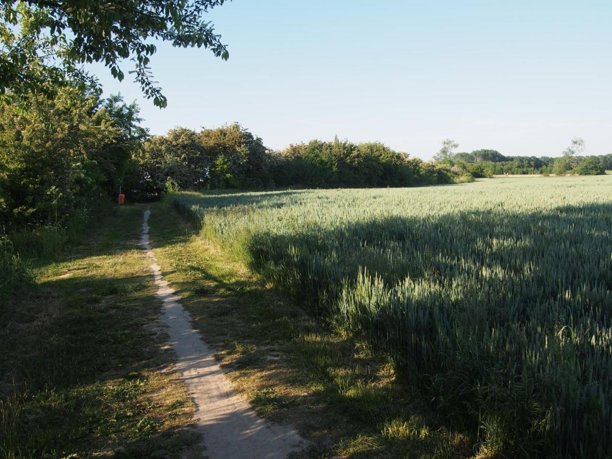 Emilias Hues, Reethaus In Der Bucht Von Wismar 齐罗 外观 照片