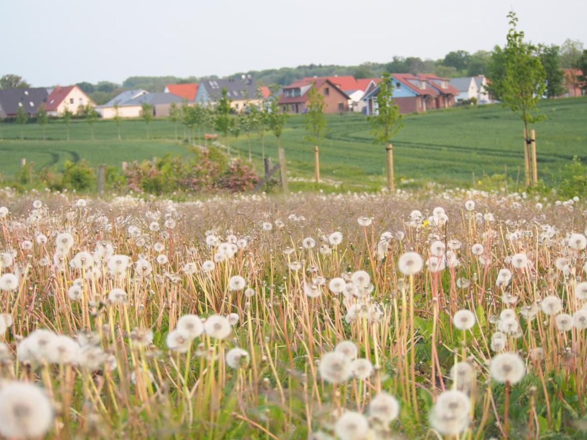 Emilias Hues, Reethaus In Der Bucht Von Wismar 齐罗 外观 照片