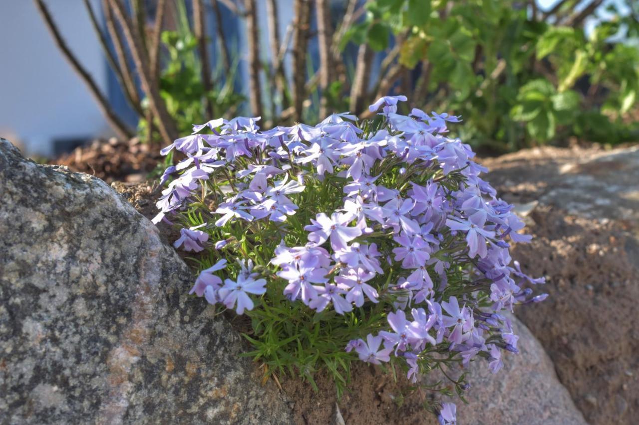 Emilias Hues, Reethaus In Der Bucht Von Wismar 齐罗 外观 照片